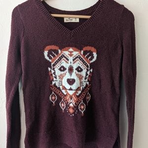 Hollister Lion Sweater